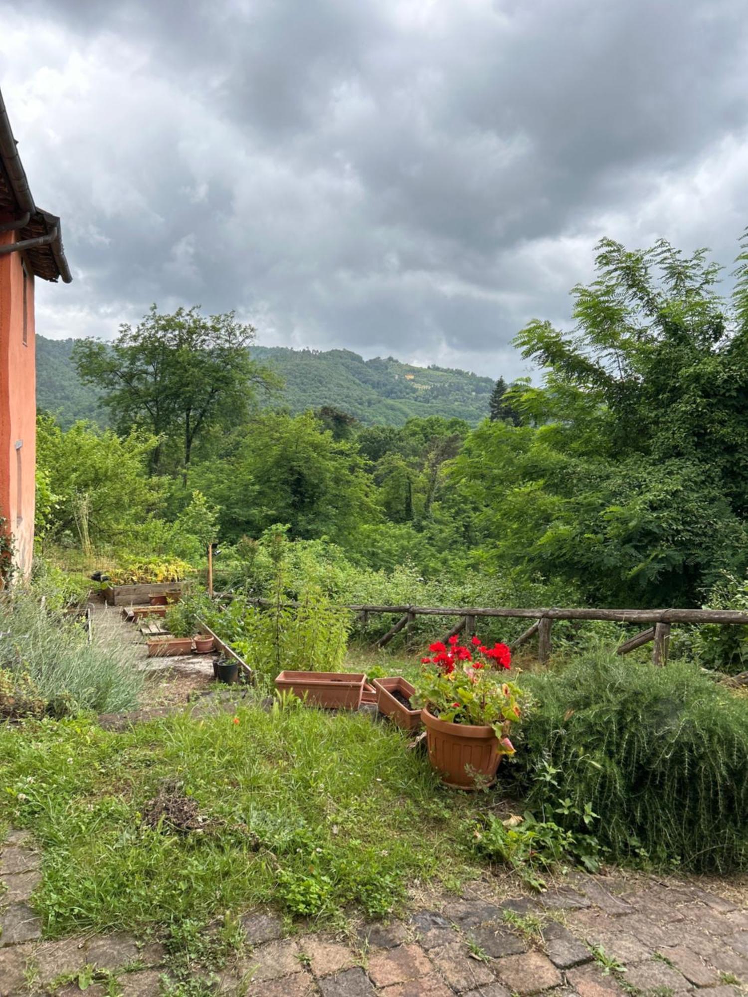 Bed and Breakfast Casa Octavia San Martino in Freddana Zewnętrze zdjęcie